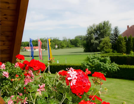 Blick vom Balkon eines Gästezimmers auf Walkersdorf Richtung Grafenegg